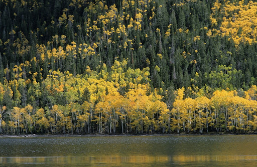 Fishlake Utah